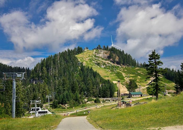 Grouse Mountain photo