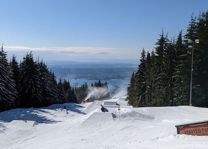 Grouse Mountain photo