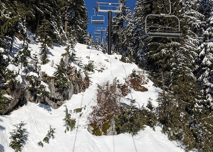 Grouse Mountain photo