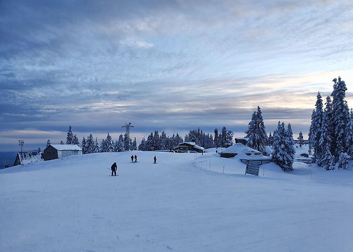 Grouse Mountain photo