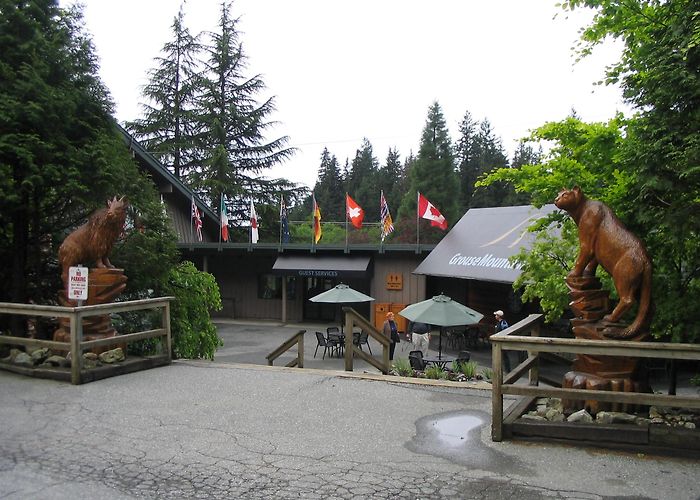 Grouse Mountain photo