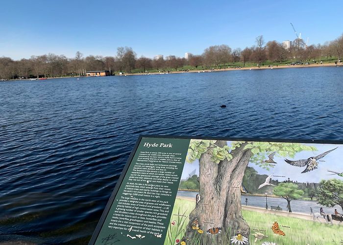Hyde Park photo