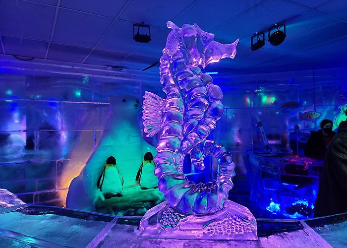 Icebar photo