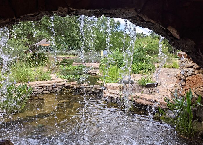 Lady Bird Johnson Wildflower Center photo