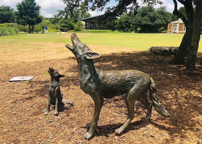 Lady Bird Johnson Wildflower Center photo