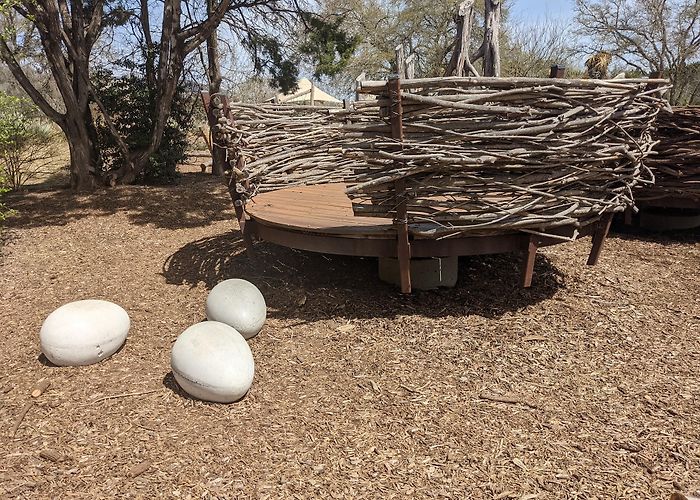 Lady Bird Johnson Wildflower Center photo