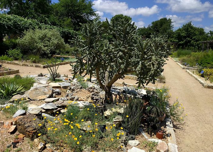 Lady Bird Johnson Wildflower Center photo
