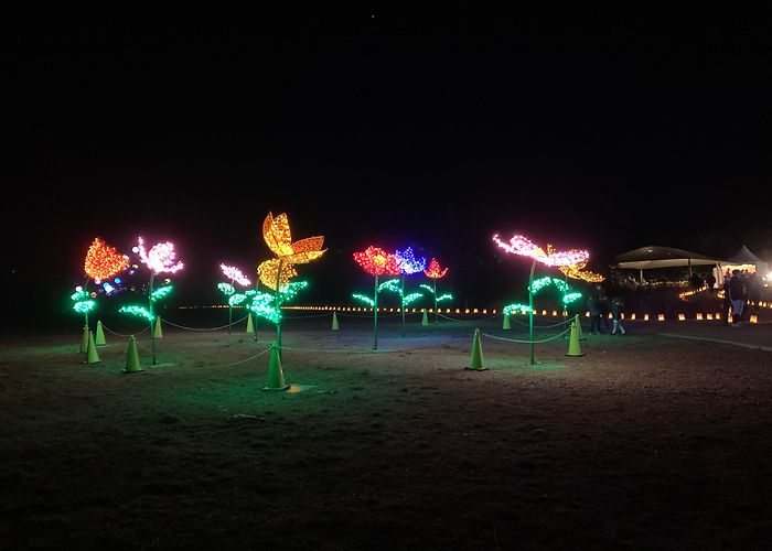Lady Bird Johnson Wildflower Center photo