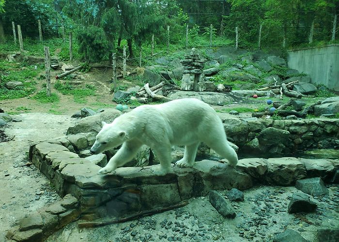The Maryland Zoo photo