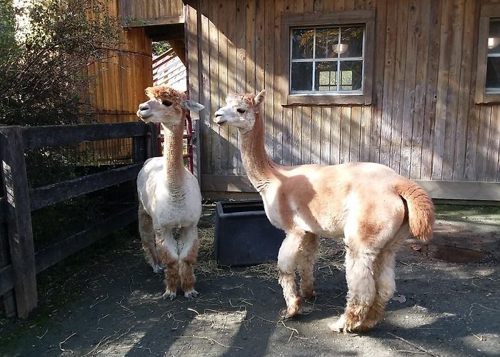 The Maryland Zoo photo