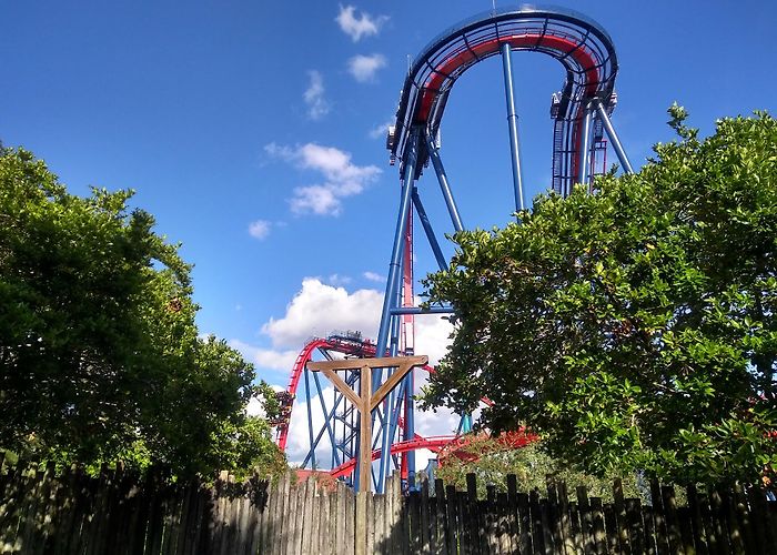 Busch Gardens Tampa Bay photo