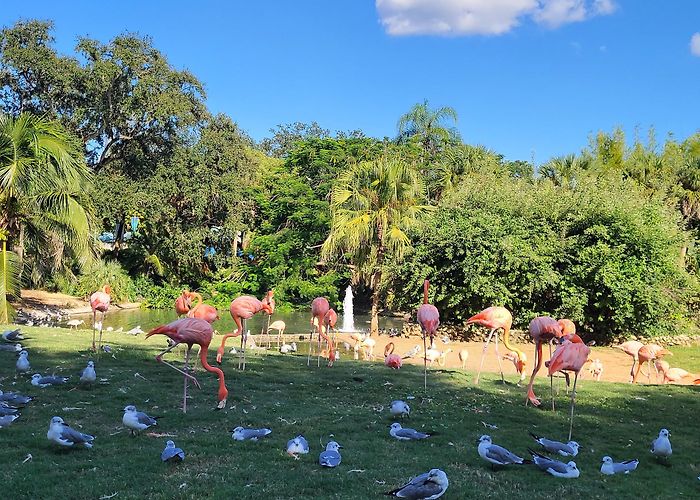 Busch Gardens Tampa Bay photo