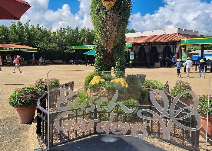 Busch Gardens Tampa Bay photo