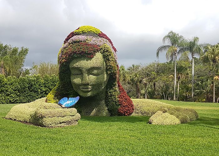 Busch Gardens Tampa Bay photo