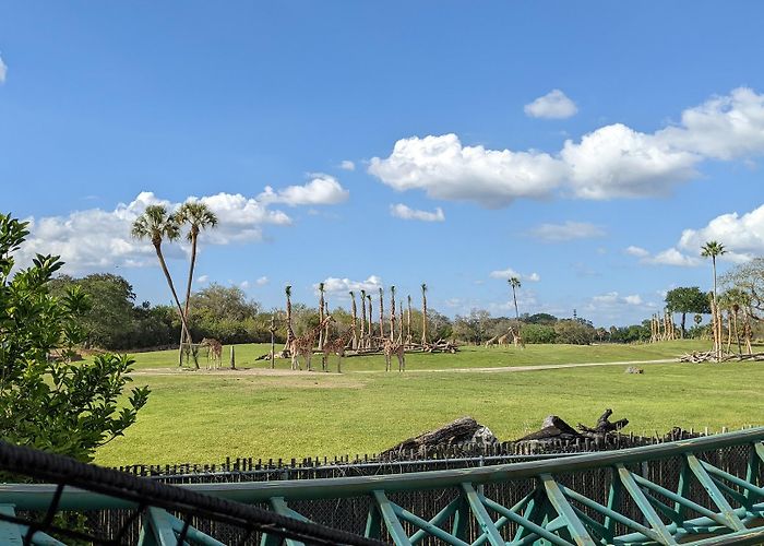 Busch Gardens Tampa Bay photo