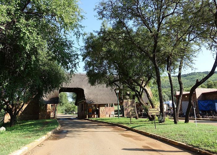 Pilanesberg National Park photo