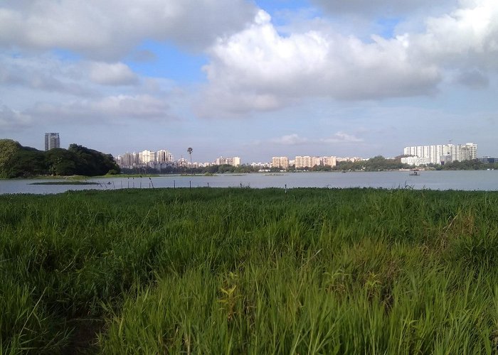 Powai Lake photo