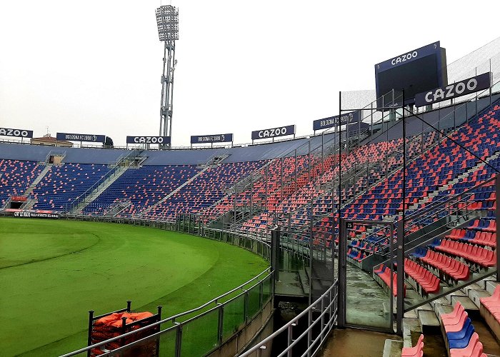 Stadio Renato Dall'Ara photo