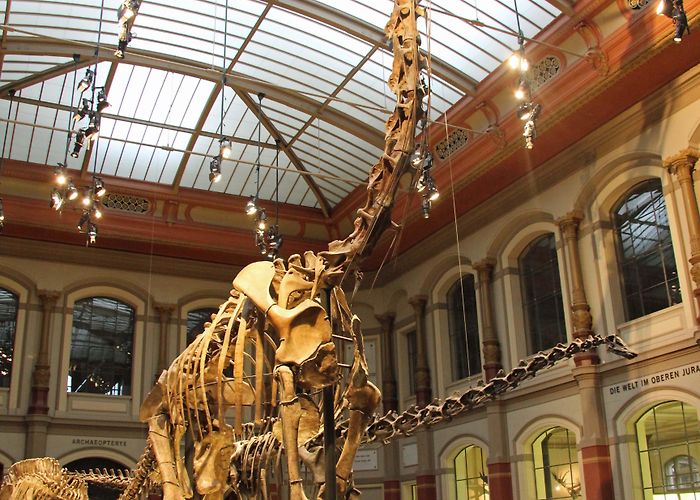 Natural History Museum Natural History Museum (Museum für Naturkunde) - Berlin Love photo