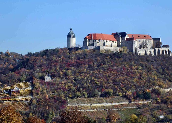 Neuenburg castle Neuenburg Castle " Saale-Unstrut Tourismus GmbH photo