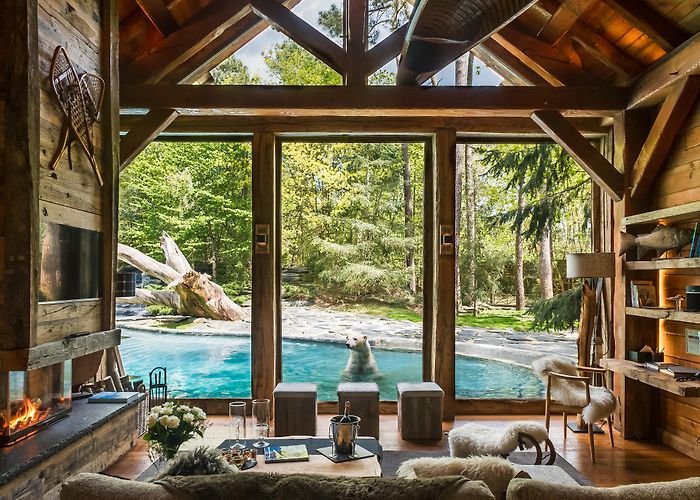 Zoo de La Fleche SAFARI LOZOO DE LA FLÈCHE (La Flèche) | Loir Valley Tourism photo