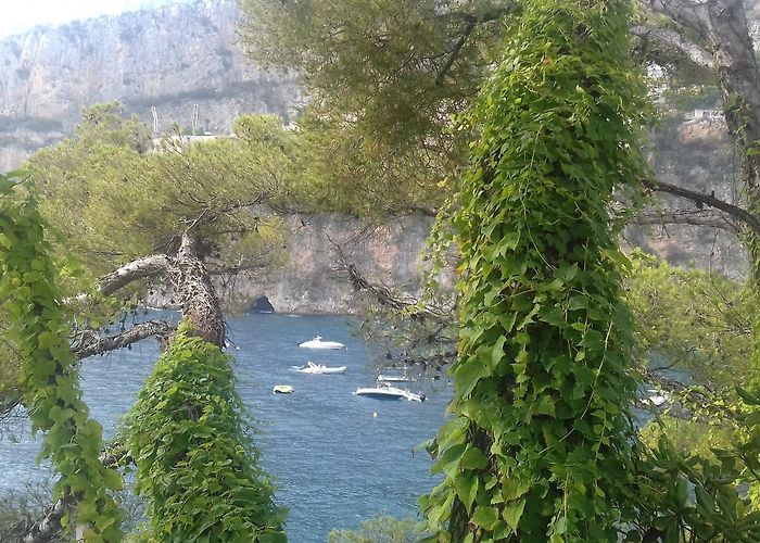 Exotic Garden of Monaco Visit Cap d'Ail: 2024 Travel Guide for Cap d'Ail, Monaco | Expedia photo