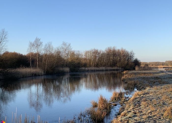 Twiske Migration birds trail: from Den Ilp to Het Schouw - - ColourFlux ... photo