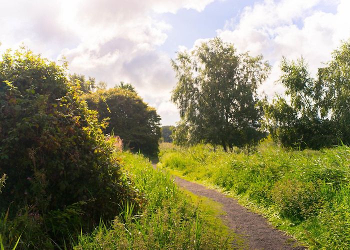 Twiske Recharging in Twiske… | Thabo Hollander | Photography photo