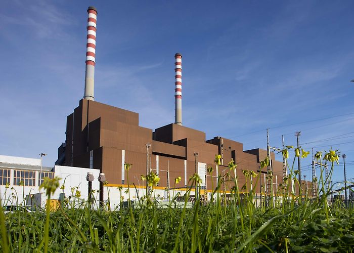 Parque Natural do Sudoeste Alentejano e Costa Vicentina EDP launches 'Futuro Ativo Sines' project to promote initiatives ... photo