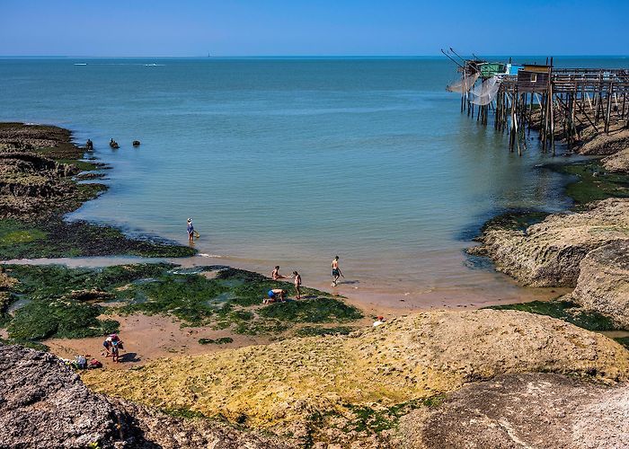 Royan Golf Discover Saint-Palais-sur-Mer - Destination Royan Atlantique photo