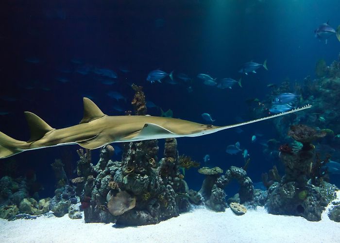 Zee Aquarium Bergen aan Zee Jongerendag | HME-MO vereniging Nederland photo