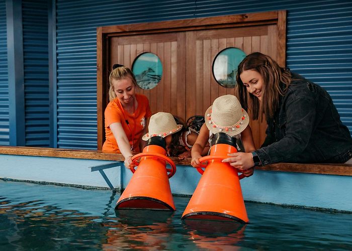 Huka Prawn Park Huka Prawn Park | Family Friendly Activities In Taupo | Taupo ... photo