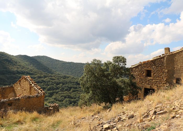 Museo Castillo de Javier Javier turismo: Qué visitar en Javier, Navarra, 2024 | Viaja con ... photo