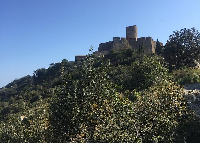 Fort Saint-Elme Fort Saint-Elme Tours - Book Now | Expedia photo
