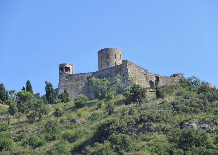 Fort Saint-Elme Fort Saint-Elme Tours - Book Now | Expedia photo