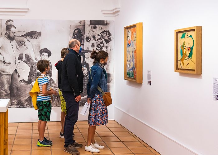 Matisse Museum Musée Matisse Nice - French Riviera Pass photo