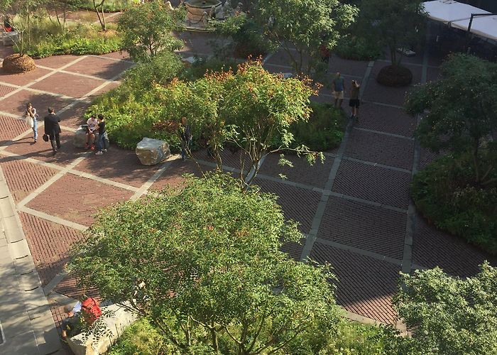 Piazza Vecchia Installation on the Piazza Vecchia, Bergamo — James Horner Gardens photo