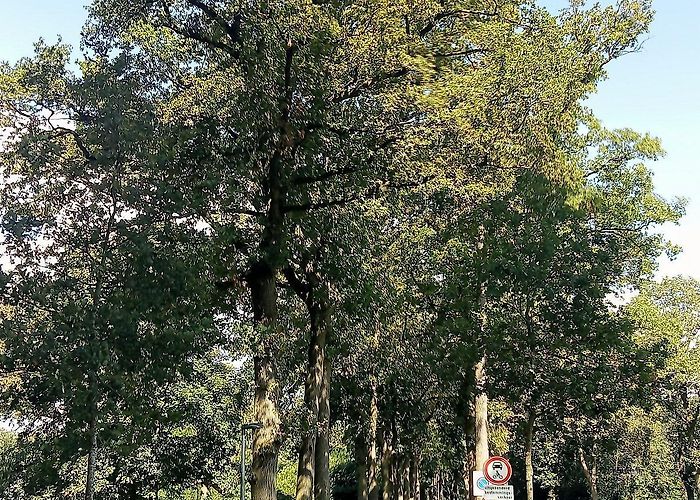 Thialf Oranjewoud - All You Need to Know BEFORE You Go (with Photos) photo