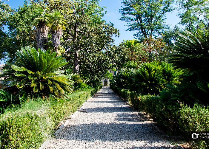 Botanical Gardens of Pisa Pisa. Botanical garden photo