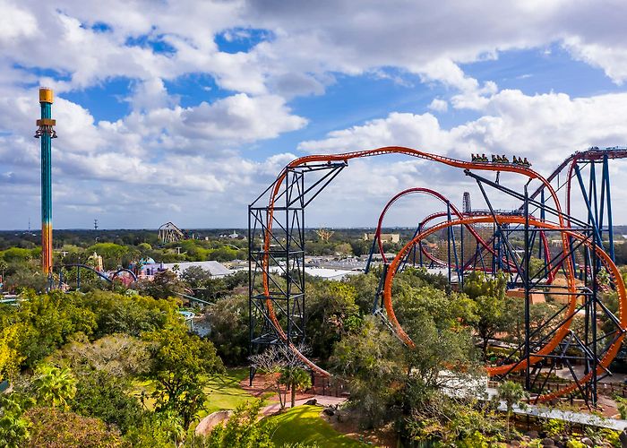 Busch Gardens Tampa Bay Busch Gardens Tampa Bay photo