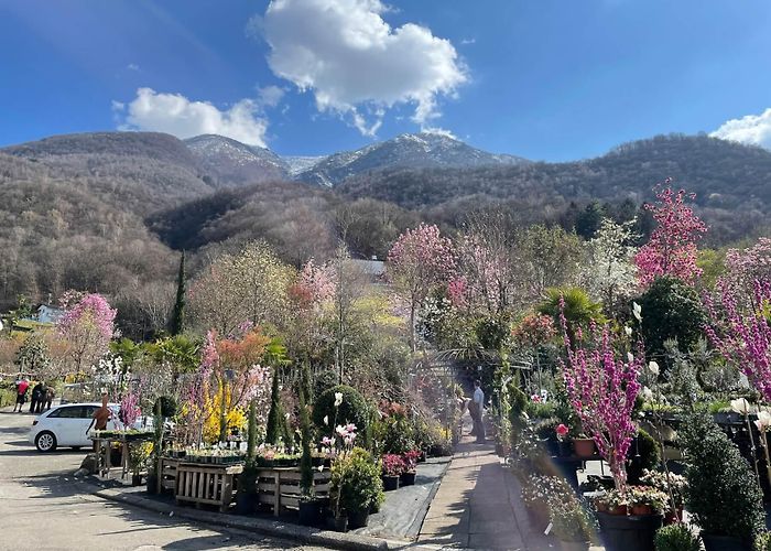Botanical Garden  Otto Eisenhut  Flowerpower im Tessin… | travelistas.info photo