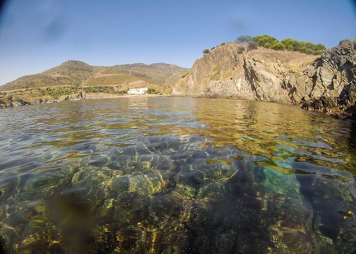 Le Sentier Sous-Marin de Cerbere-Banyuls Le sentier sous-marin de la réserve marine Cerbère – Banyuls – Le ... photo