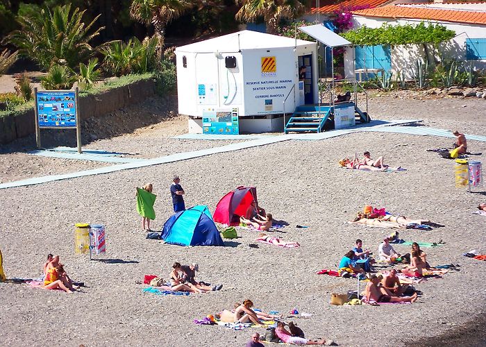 Le Sentier Sous-Marin de Cerbere-Banyuls PLAGE DE PEYREFITE | CERBERE | Supervised beach photo