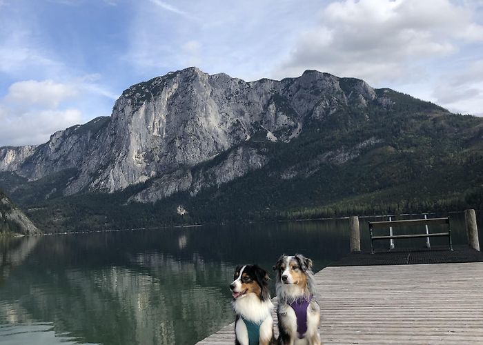 Salzwelten Altaussee Visit Altaussee: 2024 Travel Guide for Altaussee, Styria | Expedia photo