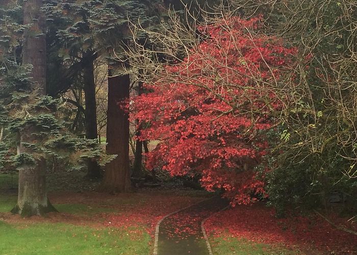 Balmore Golf Club Ltd Things to Do in East Dunbartonshire in 2024 | Expedia photo