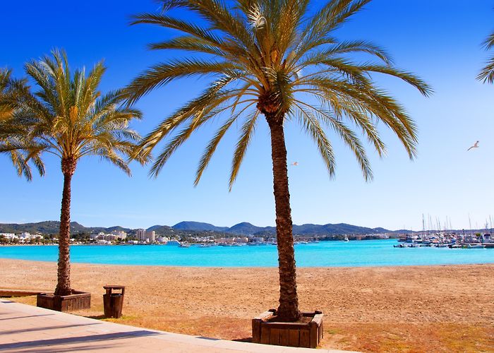 Ocean Beach Ibiza Ibiza Karting San Antonio Tours - Book Now | Expedia photo