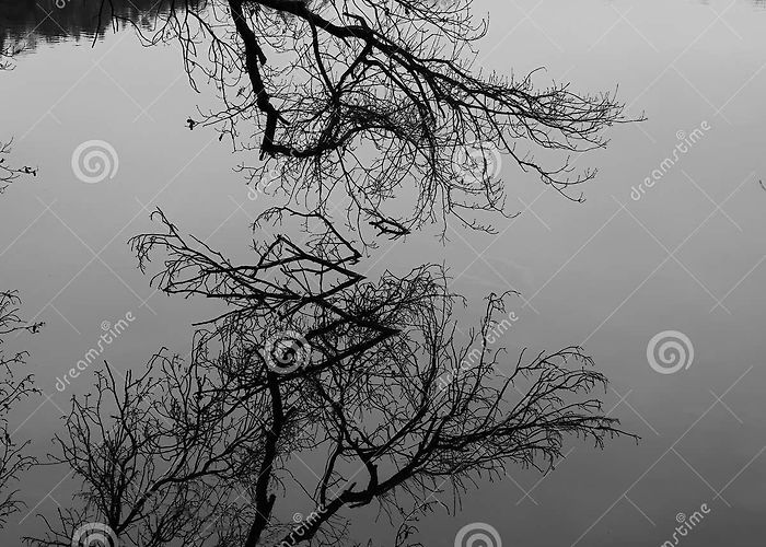 Katzensee Katzensee lake reflections stock photo. Image of environment ... photo