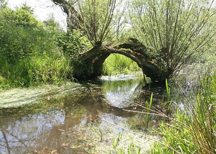 Voorveldse Polder Leuk volgens local Paul: café Ledig Erf, TivoliVredenburg en ... photo
