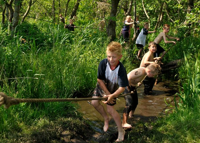 Kameleon Terherne Inspiration story: Kameleondorp | Southwest Friesland Tourist Board photo