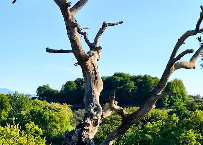 Natural springs of Bagnaccio Visit Baschi: 2024 Travel Guide for Baschi, Umbria | Expedia photo